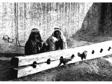 `Feet in the Stocks` (Job xiii,27). Stocks are used as a means of punitive detention. The Beduin pictured, gaoled for minor offences, have only one foot each in the instrument. An early photograph.